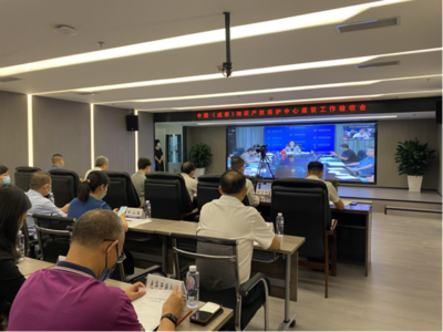 中國（成都）知識產(chǎn)權(quán)保護(hù)中心通過國家知識產(chǎn)權(quán)局驗(yàn)收，助力信息技術(shù)咨詢服務(wù)發(fā)展